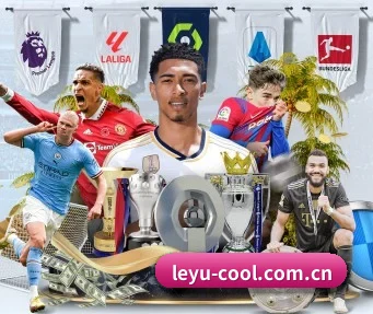 leyu-cool.com.cn APP
