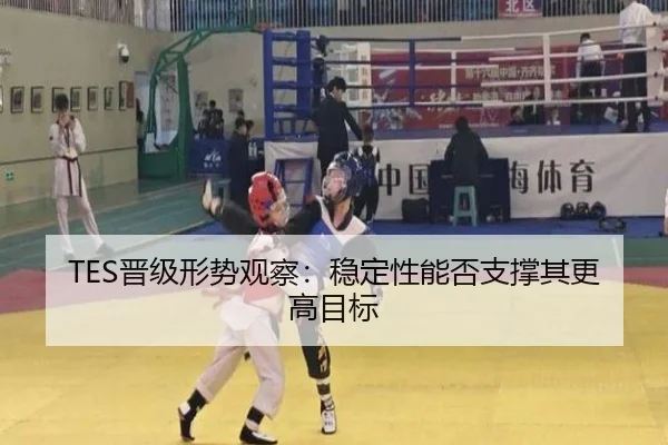 TES晋级形势观察：稳定性能否支撑其更高目标